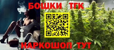 гашик Кингисепп