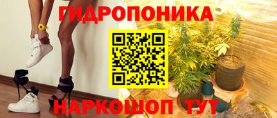 молекула духа Камышлов