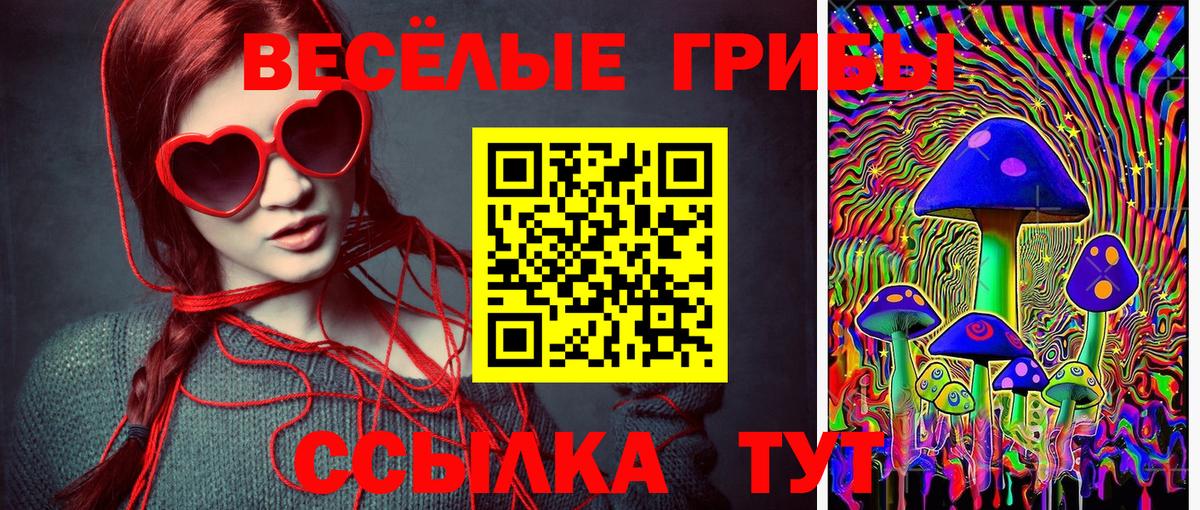 Псилоцибиновые грибы Magic Shrooms  Вход с VPN  где купить наркоту  Котлас 