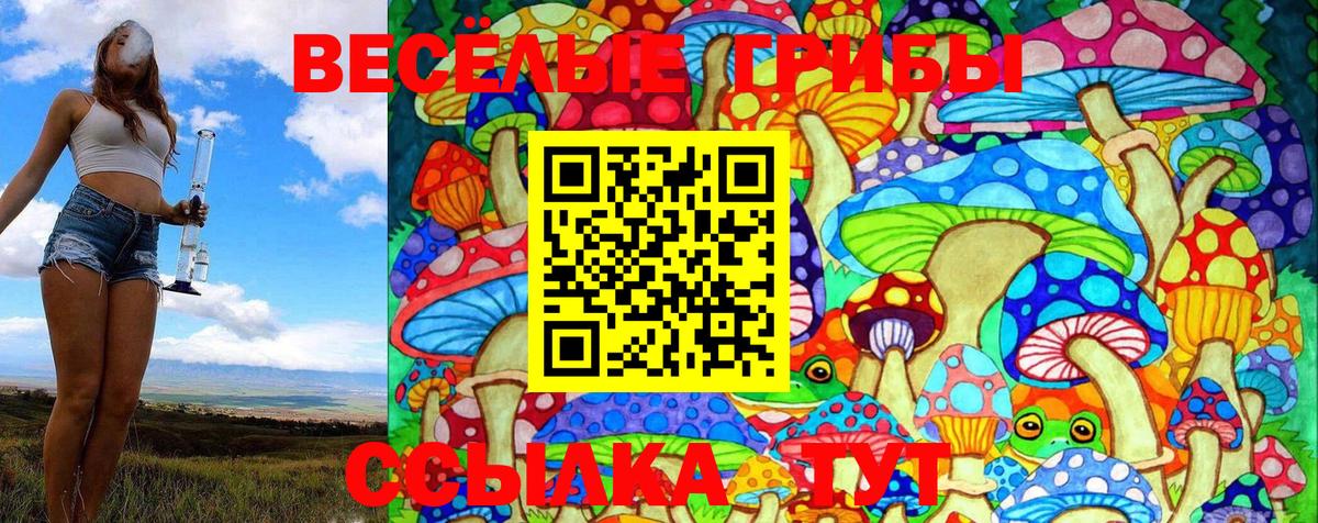 Галлюциногенные грибы Psilocybine cubensis Котлас